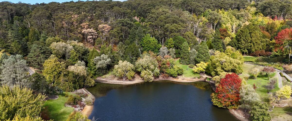 A lake surrounded by dense forest with a variety of trees, including some with autumn foliage.