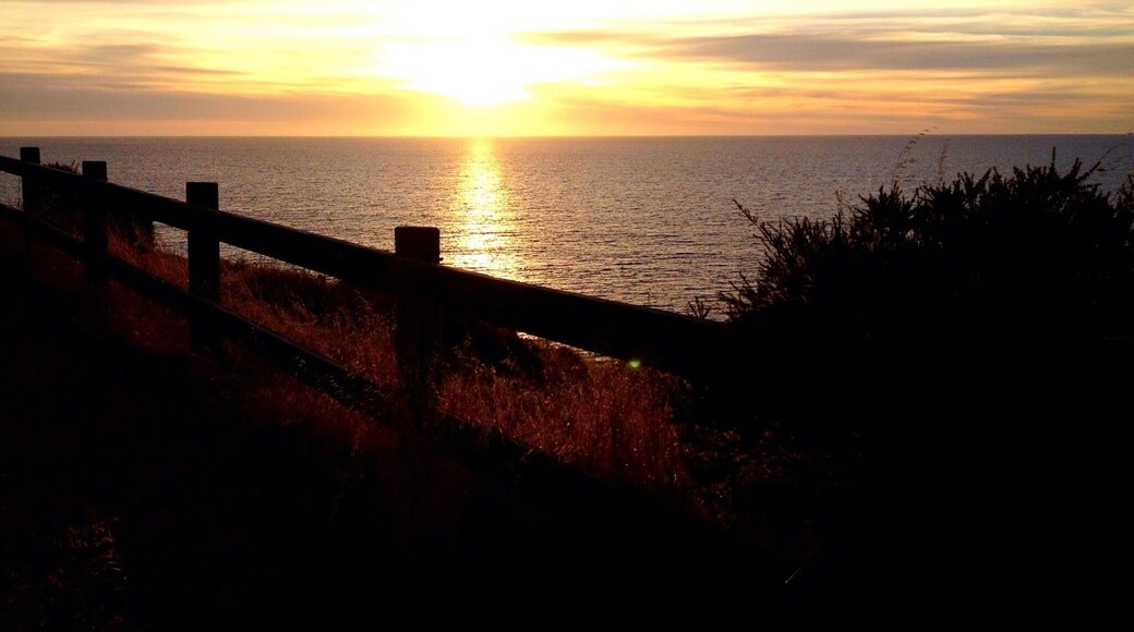 Take a walk through the Hallett Cove and Marino Conservation park to see ancient rock formations and beautiful views of the ocean. Perfect to watch the sun set in the south.
#NationalPark #Beach #Sunset #Australia #GoldenHour