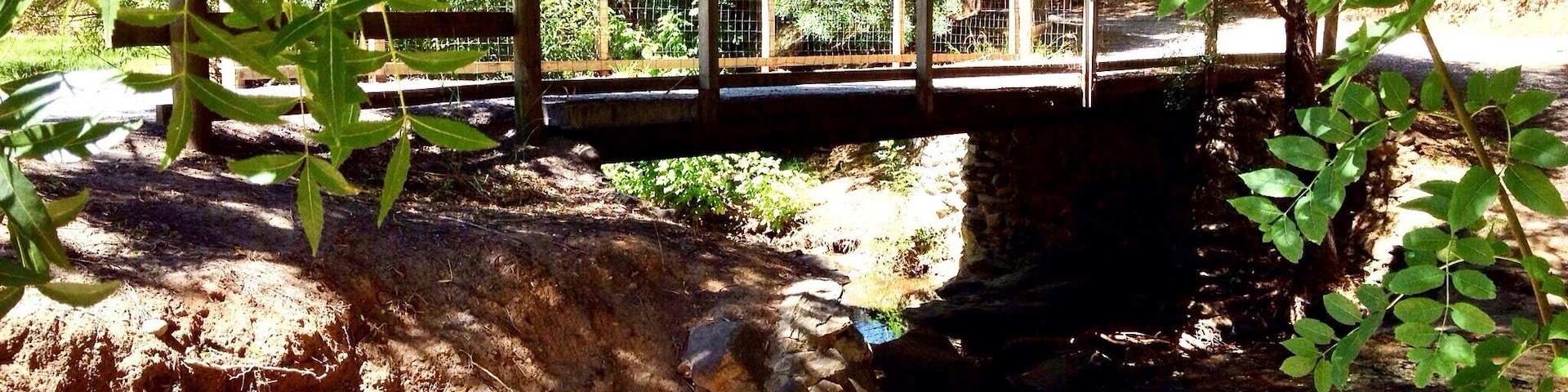 Walk along the creek in the beautiful Adelaide Hills, South Australia.