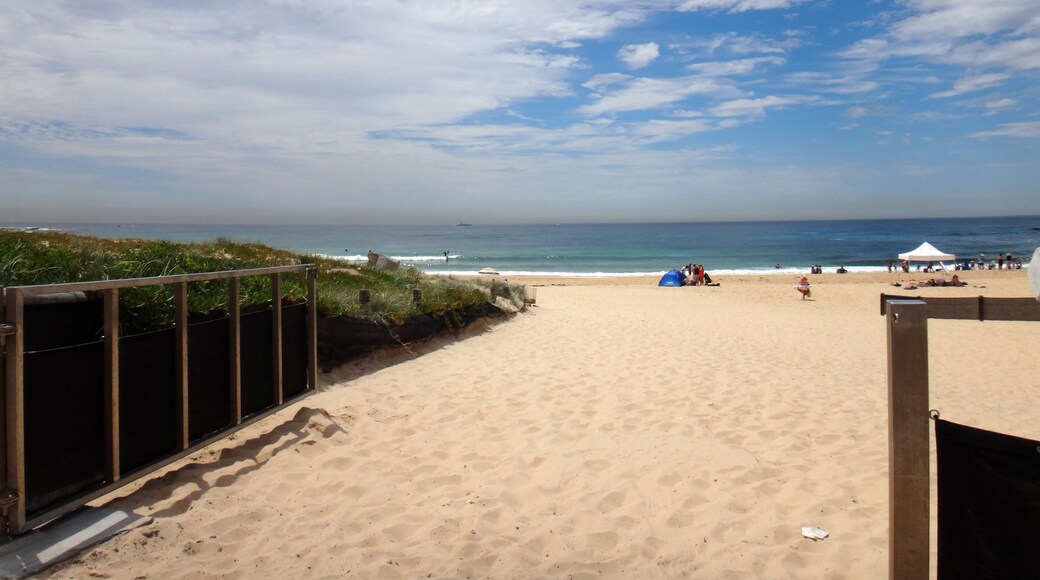Scenes of Nobbys Beach, Newcastle, NSW Australia.