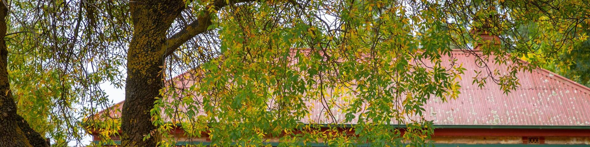 Meadows which includes a house