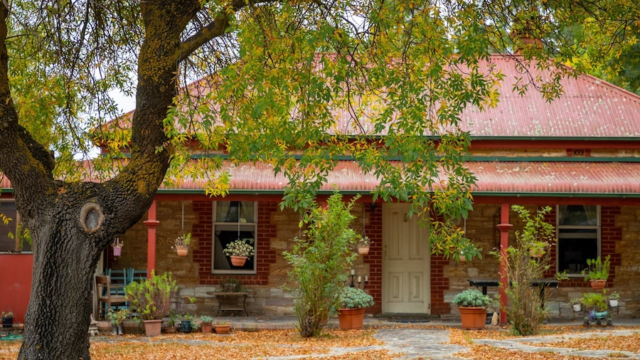 Meadows which includes a house