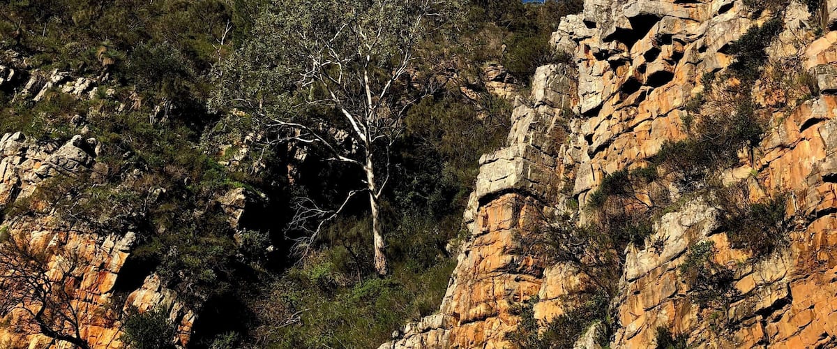 Lots of great walks around, close to Adelaide and lots of Koalas too