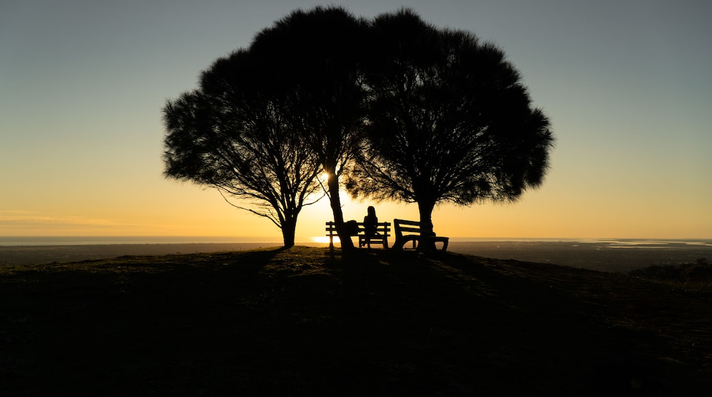 Silueta de dos personas sentadas en un banco bajo un árbol grande al atardecer.