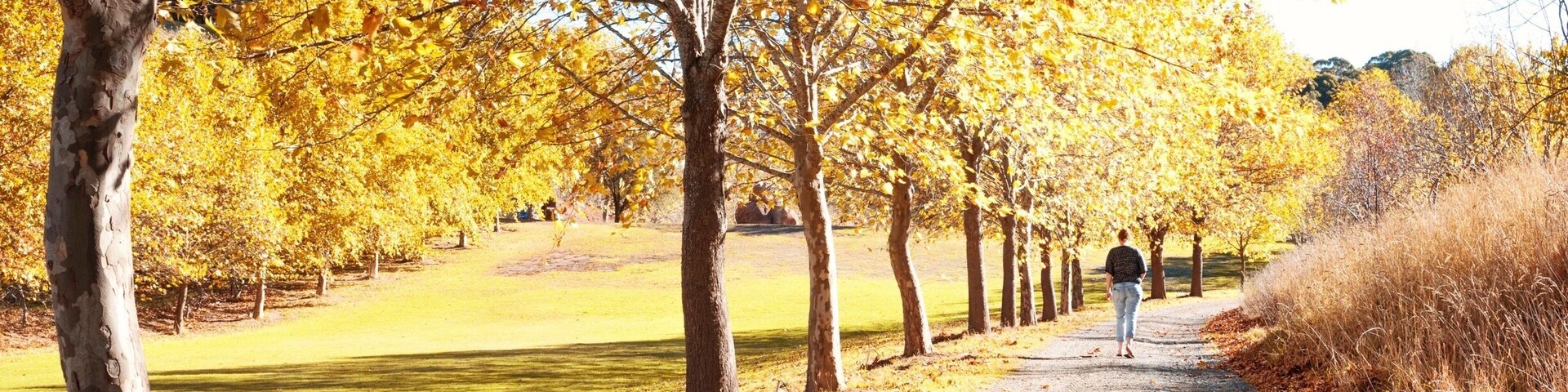 I visited the Adelaide Hills recently for a week and had so many amazing experiences. Glen Ewin Estate was a favorite as it sells local curated wines, has a tasty new menu and is a popular wedding and event location. Oh, and did I mention fig picking? 🍁🍂