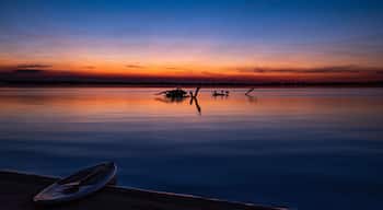 Swanport