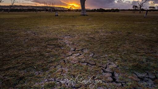 Yep, this location was a massive 100 metres from camp! Had been eyeing off this tree for a few nights, then the storm rolled in at sunset - grabbed camera and ran 😄😄 There’s usually a bit of water in the lagoon, but it was bone dry while we were there.