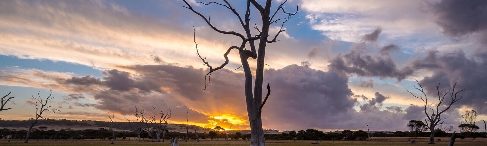 Yep, this location was a massive 100 metres from camp! Had been eyeing off this tree for a few nights, then the storm rolled in at sunset - grabbed camera and ran 😄😄 There’s usually a bit of water in the lagoon, but it was bone dry while we were there.