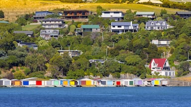Scenic View of Duvauchelle, South Island, New Zealand