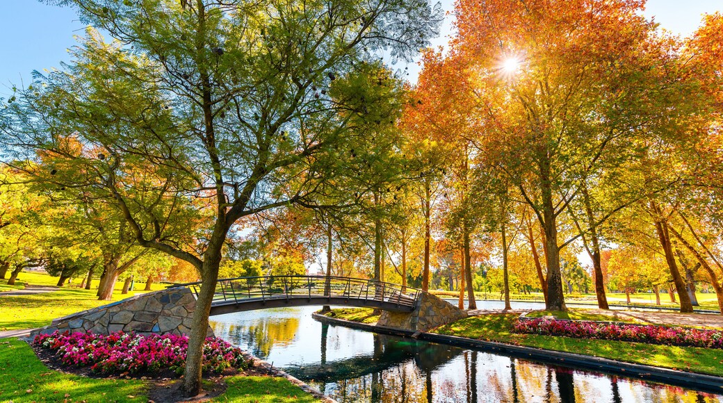 Rymill Park with bridge over the pond in Adelaide city on a sunny autumn day