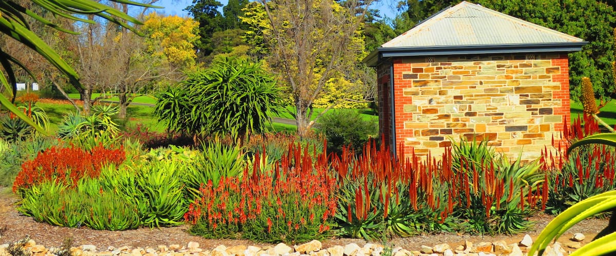 A garden with a stone building, various plants, and trees.