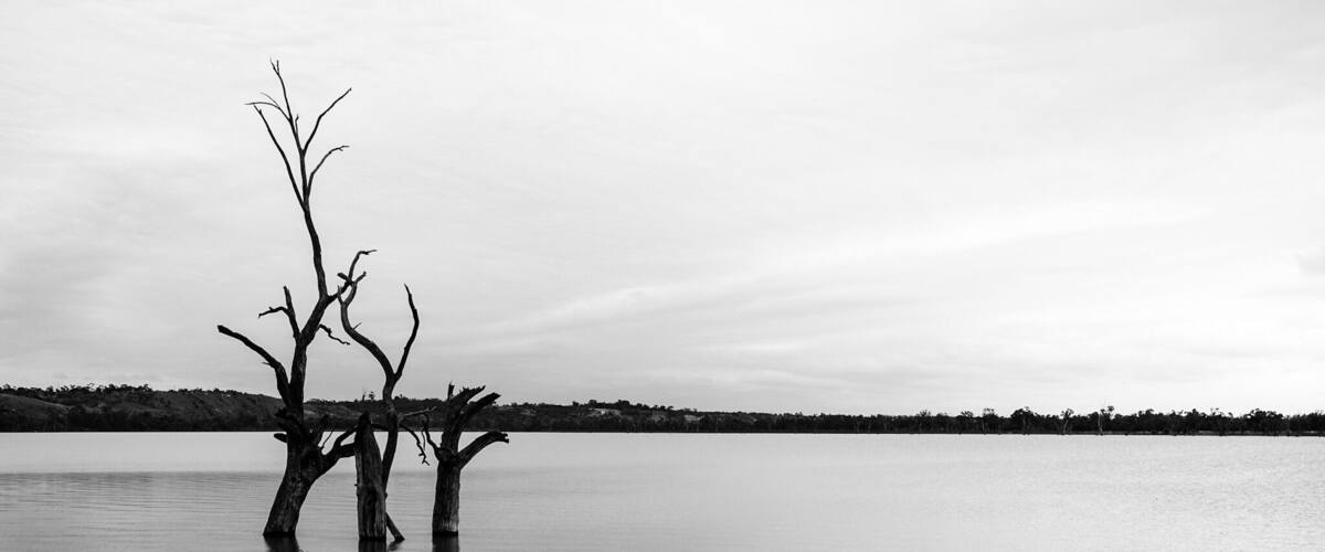 A calm lake with two leafless trees in the foreground and a distant shoreline.