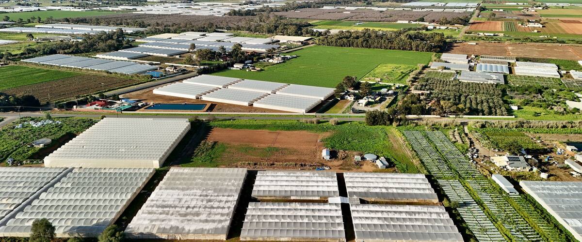 A large agricultural facility with multiple greenhouses and fields.