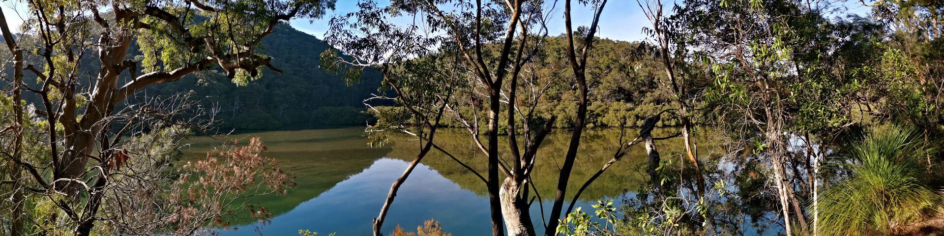 A serene lake surrounded by dense trees and a mountain in the background.