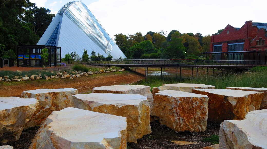 botanic garden in adelaide, australia
