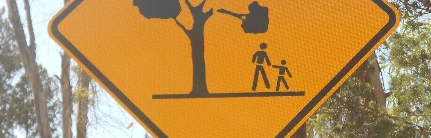 Warren Gorge is known for its rock wallabies. There is a short walk through the gorge and if you're Lucky you can spot a few. Apparently you also have to look out for falling branches!