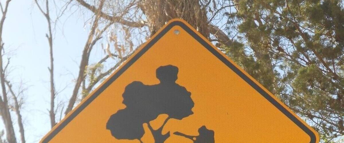 A yellow warning sign with a tree and two figures, one adult and one child, walking near it.