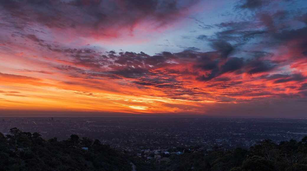 Sunset over Adelaide cityscape from a lookout in the Adelaide hills