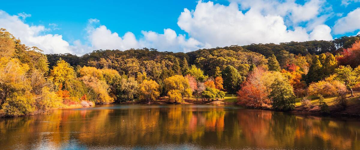 Un lago rodeado de árboles de colores otoñales y un cielo azul despejado.