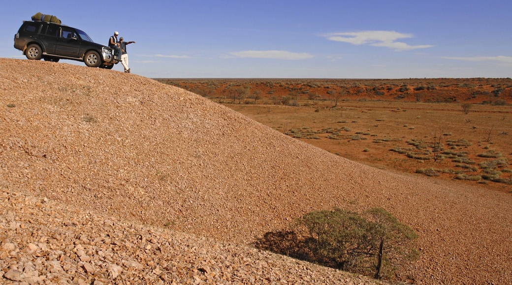 ๋ ๋์ผํฐ ์ ํน์ง ํฌ์ด, ์ฌ๋ง ๊ณผ 4๋ฅ ๊ตฌ๋ ๋๋ผ์ด๋น