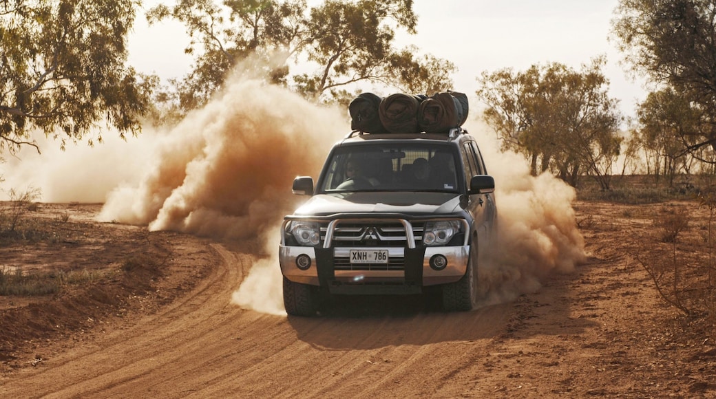 Red Centre montrant vues du désert, conduite tout terrain et visite en voiture
