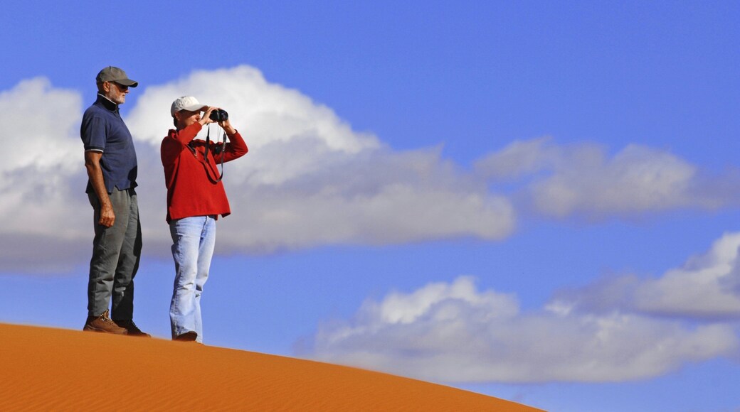 레드센터 을 특징 사막 뿐만 아니라 커플