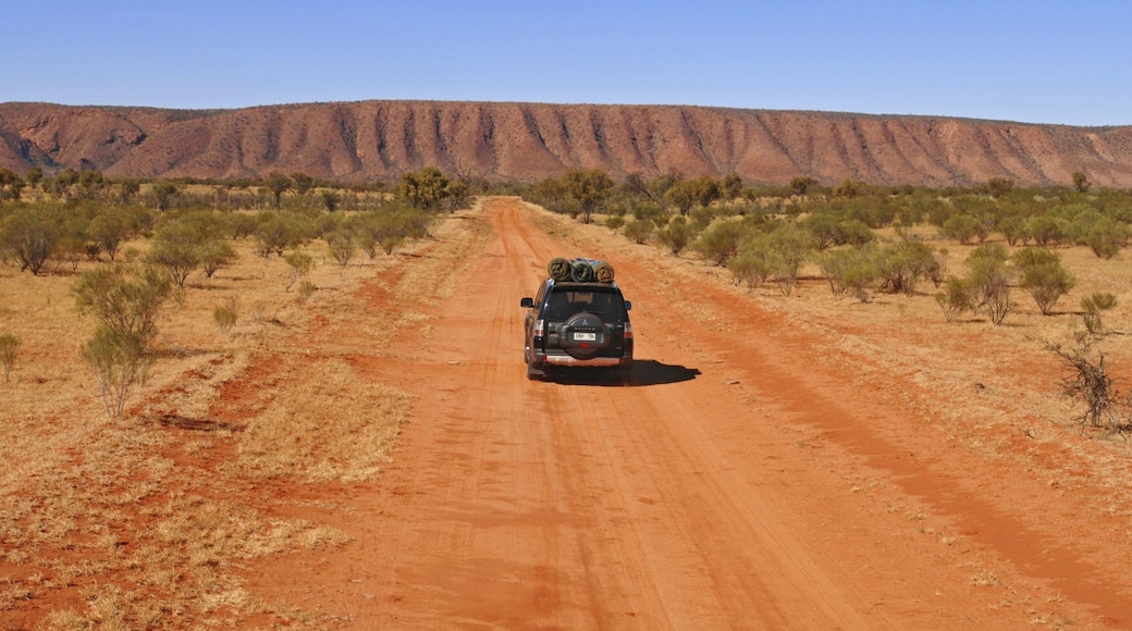 Red Centre qui includes visite en voiture, vues du désert et gorge ou canyon