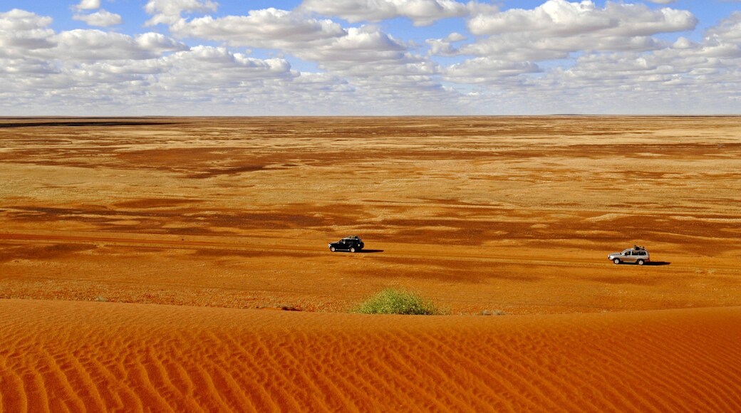 Simpson Desert which includes landscape views, vehicle touring and desert views