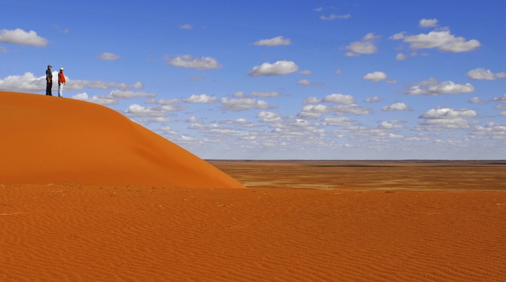 Red Centre montrant vues du désert aussi bien que couple