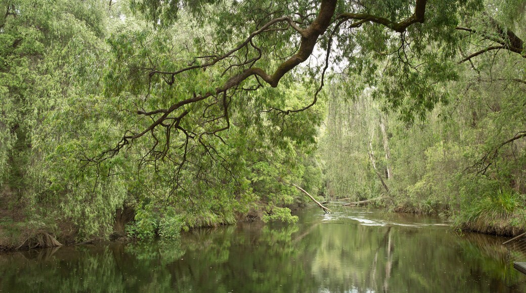 Honeymoon Pool, Wellington National Park