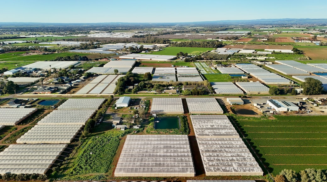 A large agricultural facility with multiple greenhouses and fields.