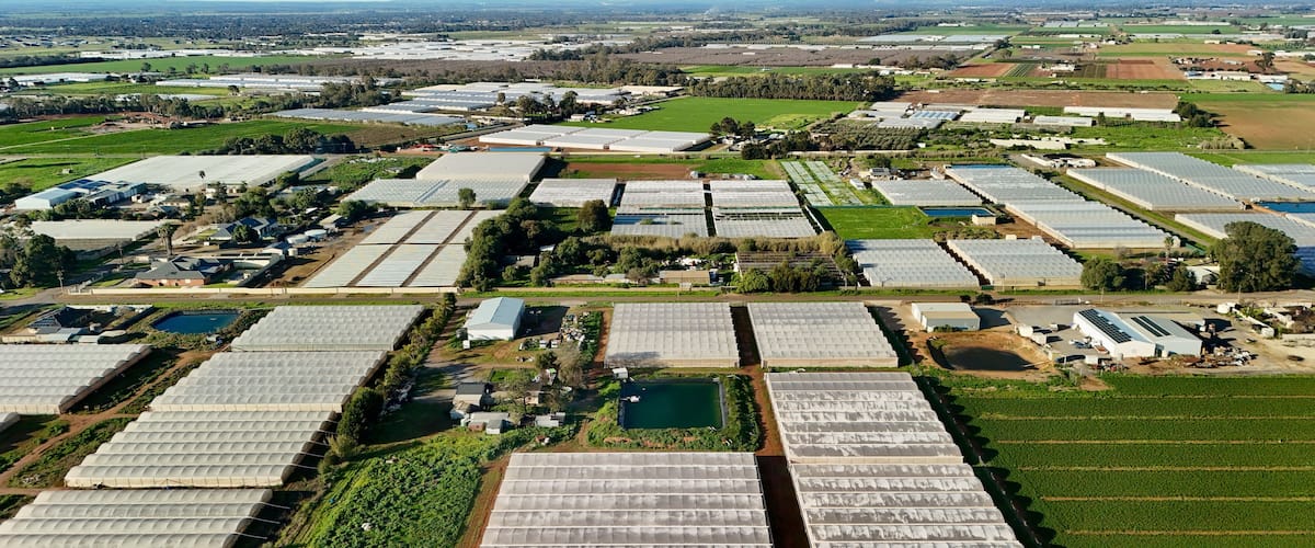 A large agricultural facility with multiple greenhouses and fields.
