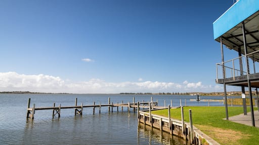 Goolwa Beach showing general coastal views