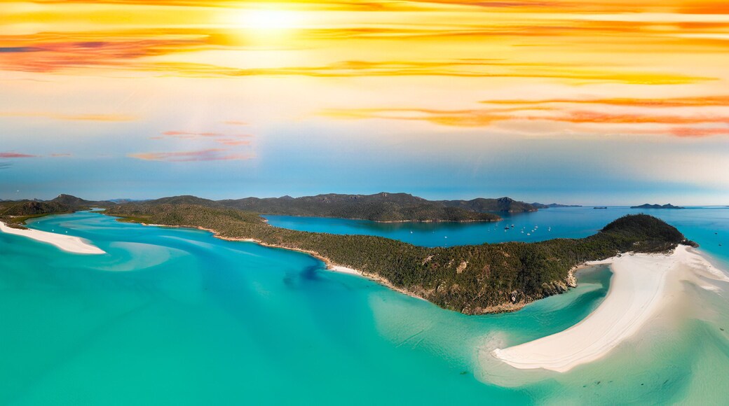 ํ์ดํธ ์์ฆ