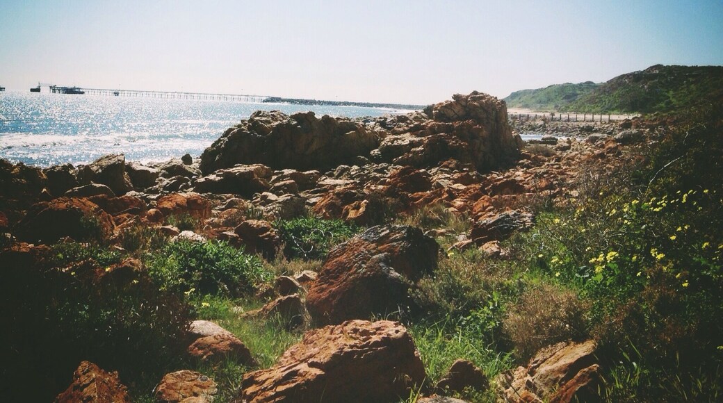 The rocks on O'Sullivan Beach, South Australia
#Beach