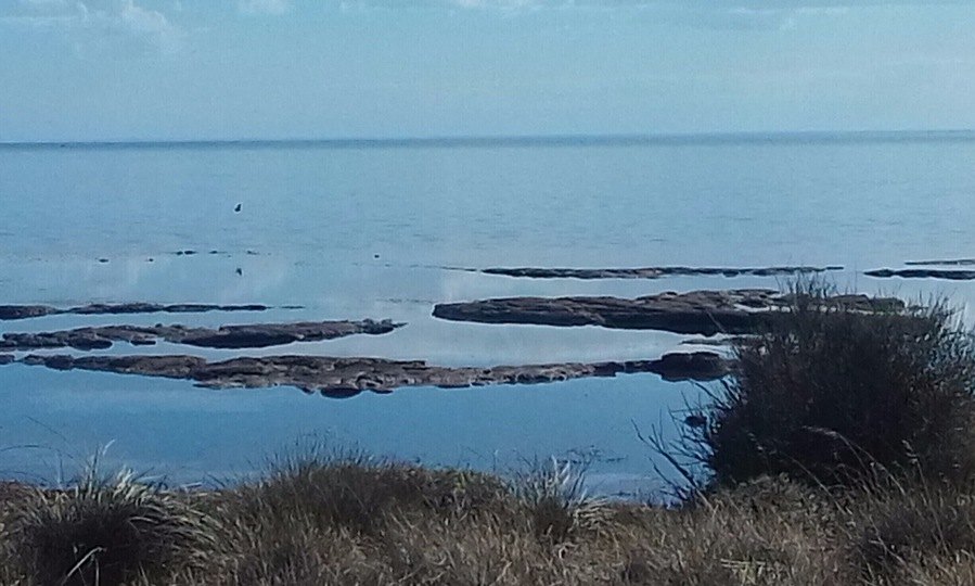 Near Hardwicke Bay area on the West of the Yorke Peninsula, the ocean is pristine and glassy.