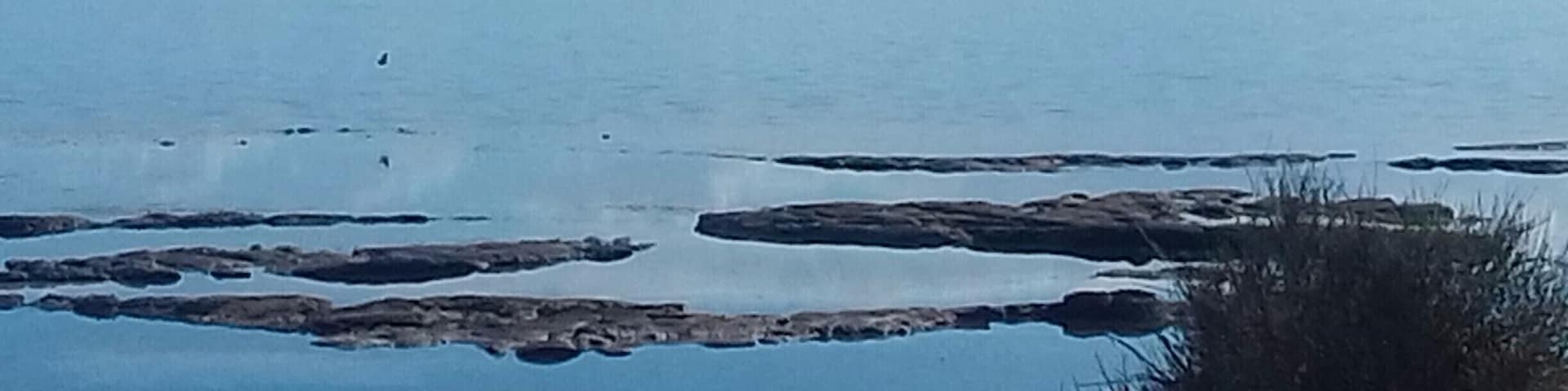 Near Hardwicke Bay area on the West of the Yorke Peninsula, the ocean is pristine and glassy.