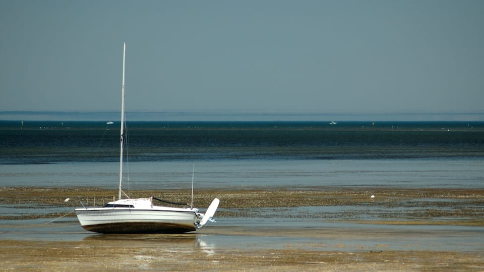 A sailboat on a sandy beach with calm water in the background.