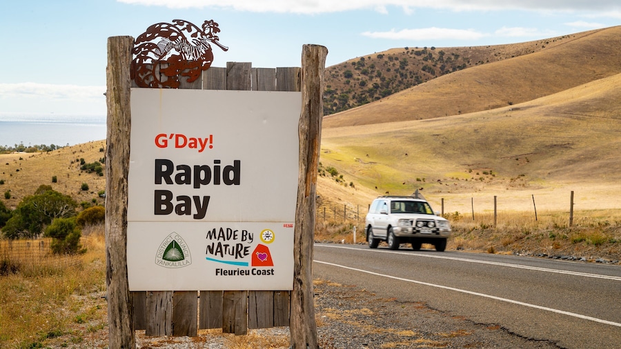 Rapid Bay featuring tranquil scenes, 4 wheel driving and signage