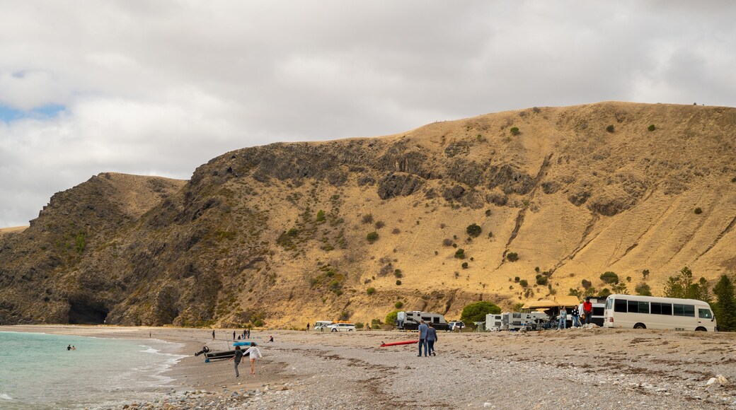 Rapid Bay featuring rugged coastline, a pebble beach and general coastal views