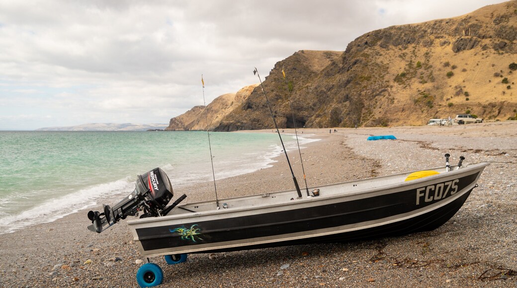 Rapid Bay showing general coastal views and a pebble beach
