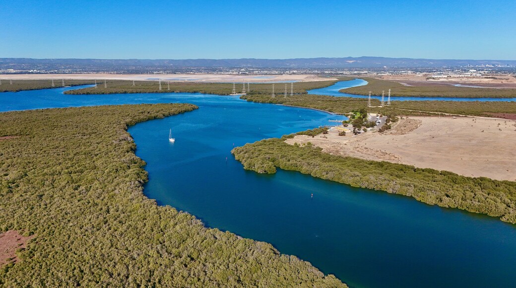 Un río serpentea por un paisaje de vegetación densa con un puente a lo lejos.