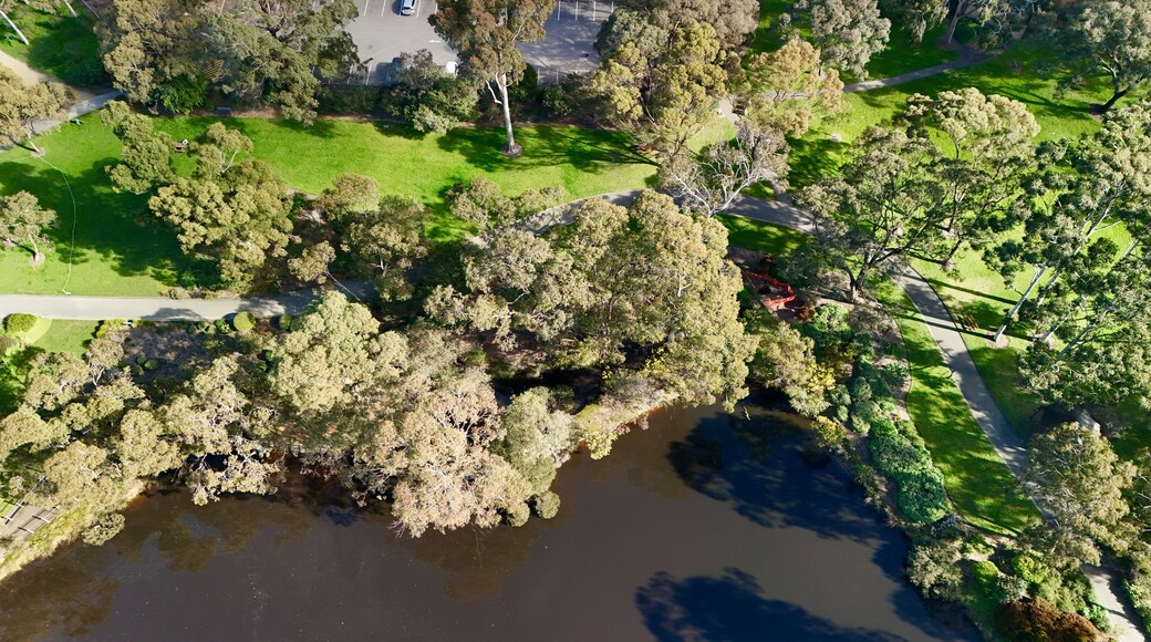 Vista aérea de un parque con un lago, árboles frondosos y un estacionamiento.
