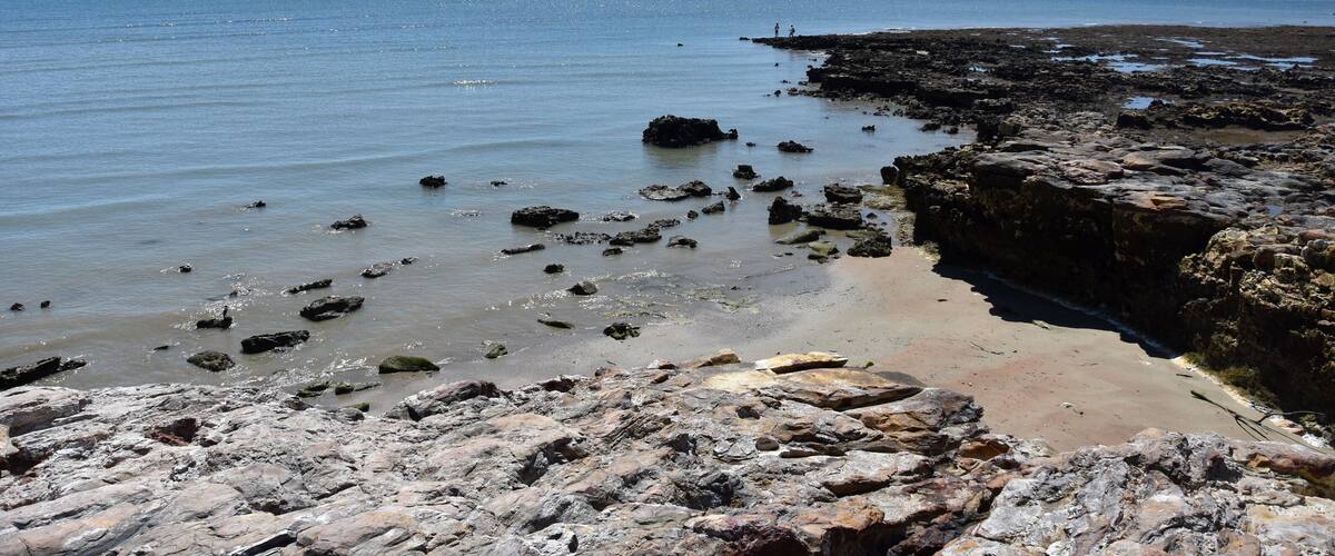 A rocky shoreline with scattered rocks in the water and a clear blue sky.