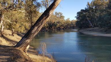 View from my camp on the banks of the Murrumbidgee River at Maude, NSW.