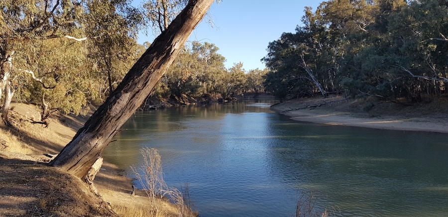 View from my camp on the banks of the Murrumbidgee River at Maude, NSW.