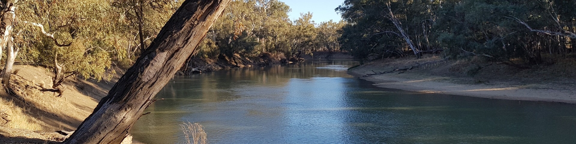 View from my camp on the banks of the Murrumbidgee River at Maude, NSW.