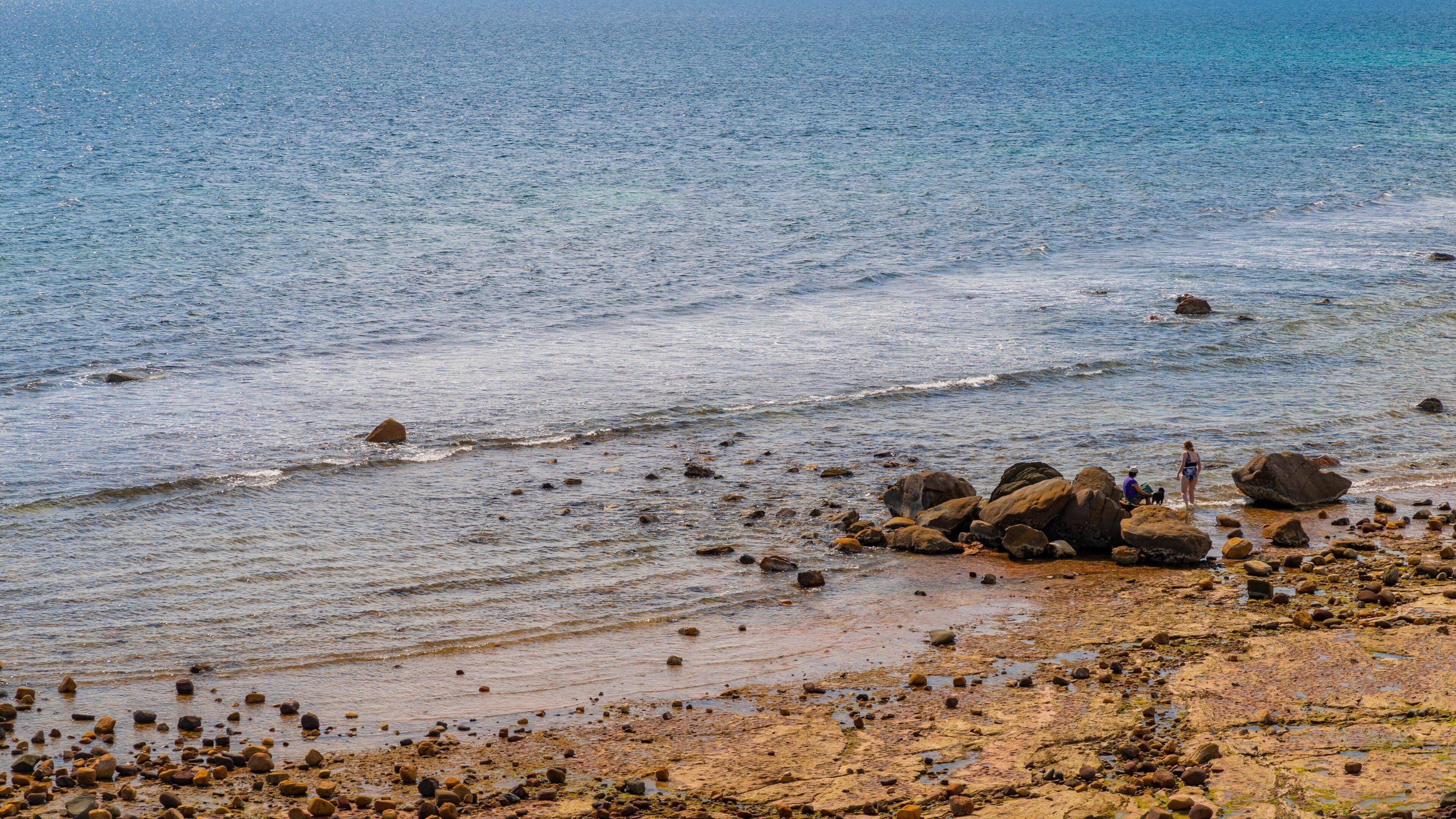 Hallett Cove showing general coastal views and a pebble beach