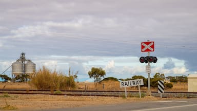 Mallala featuring tranquil scenes and signage