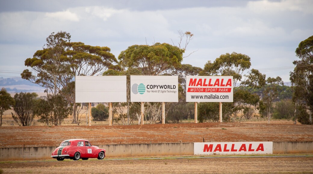 Conseil d'Adelaide Plains